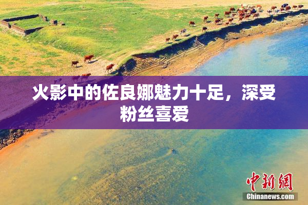 火影中的佐良娜魅力十足，深受粉丝喜爱