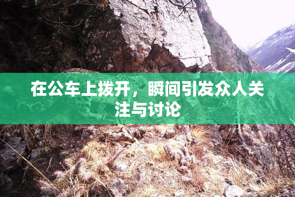 在公车上拨开，瞬间引发众人关注与讨论