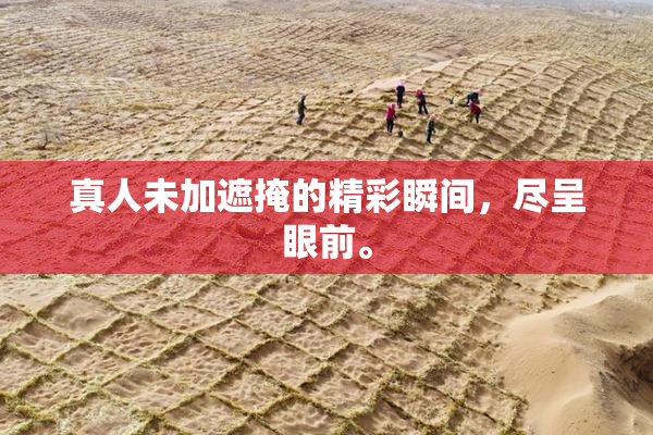真人未加遮掩的精彩瞬间，尽呈眼前。