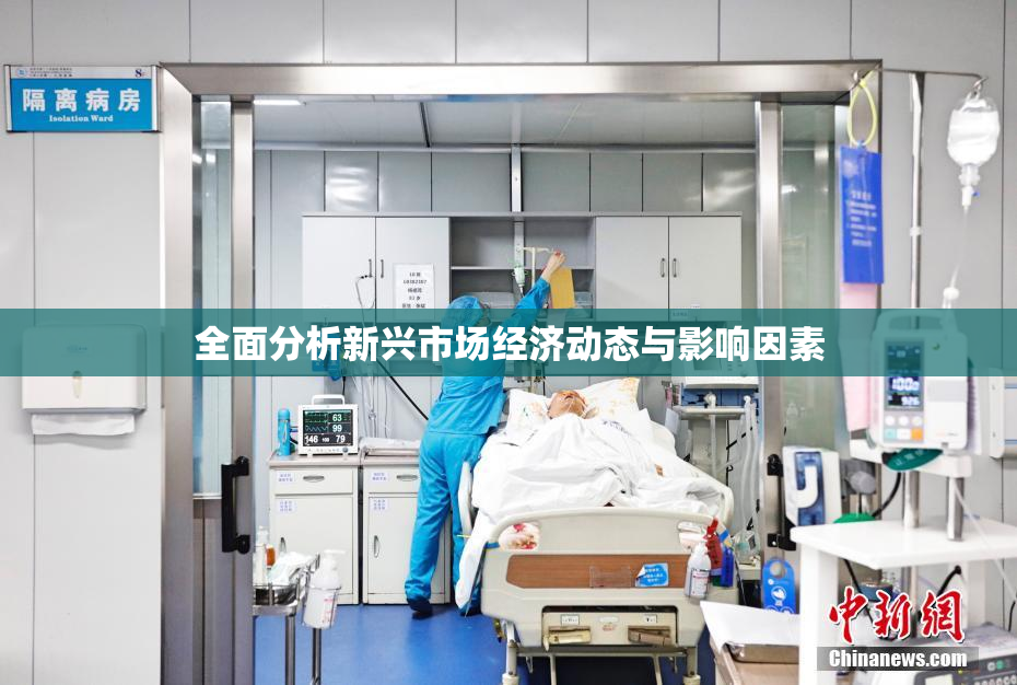 全面分析新兴市场经济动态与影响因素
