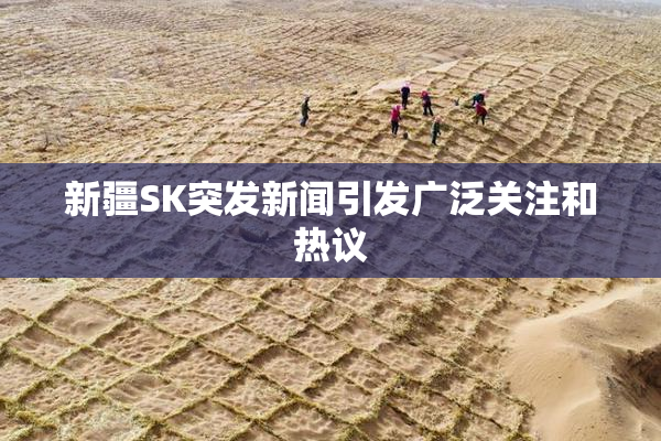 新疆SK突发新闻引发广泛关注和热议