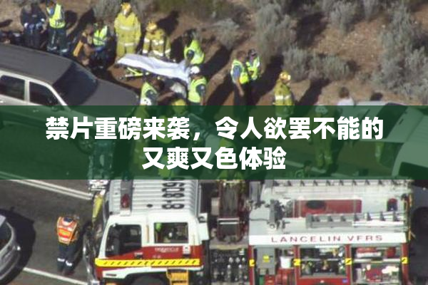 禁片重磅来袭，令人欲罢不能的又爽又色体验