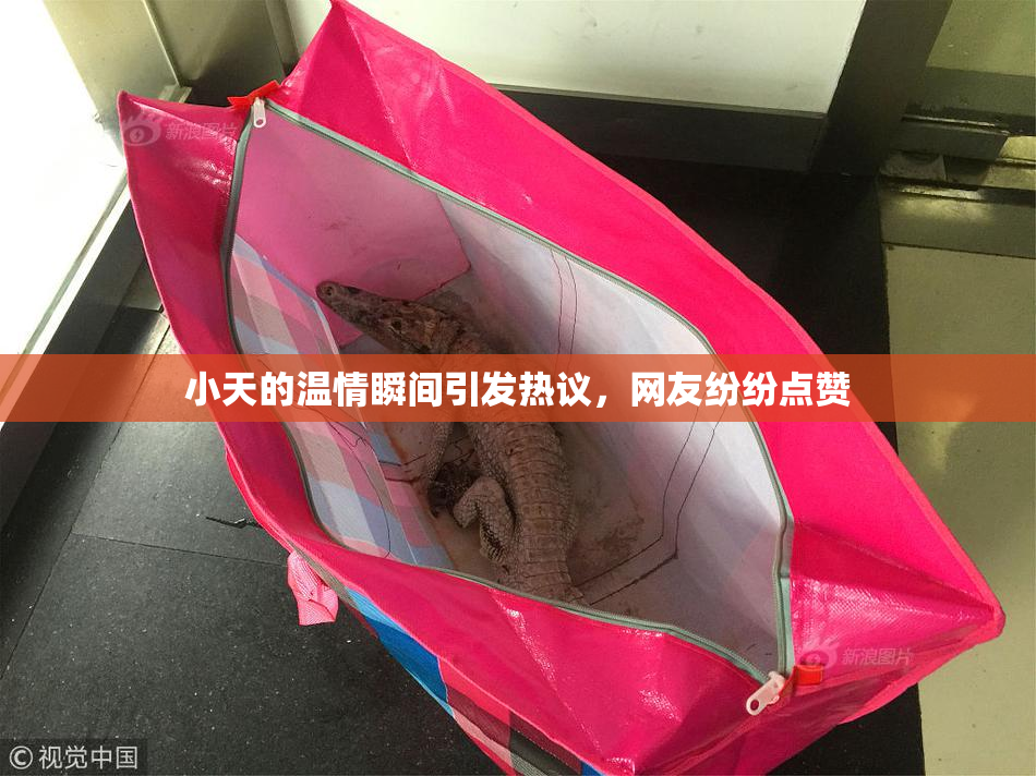 小天的温情瞬间引发热议，网友纷纷点赞