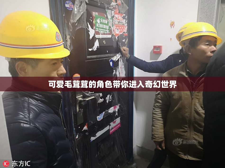 可爱毛茸茸的角色带你进入奇幻世界