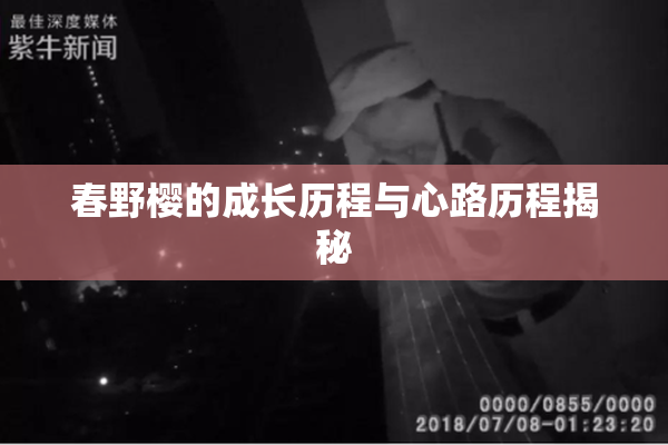 春野樱的成长历程与心路历程揭秘