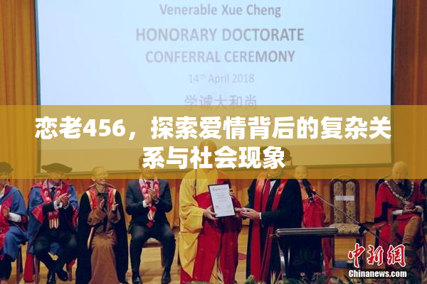 恋老456，探索爱情背后的复杂关系与社会现象