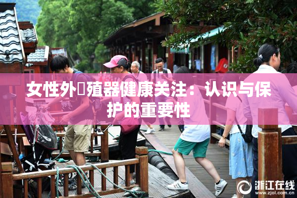 女性外夝殖器健康关注：认识与保护的重要性