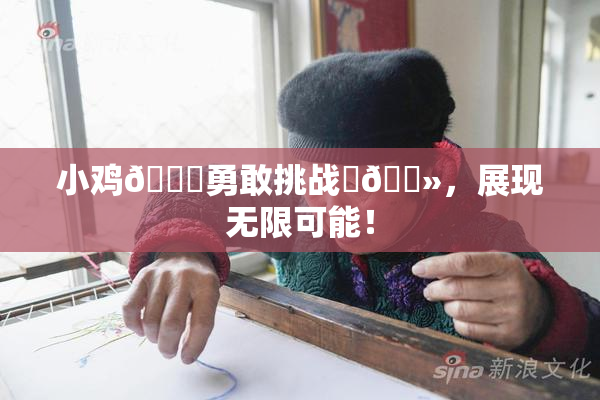小鸡🐔勇敢挑战‌🐻，展现无限可能！