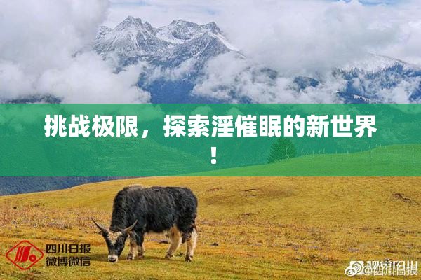 挑战极限，探索淫催眠的新世界！