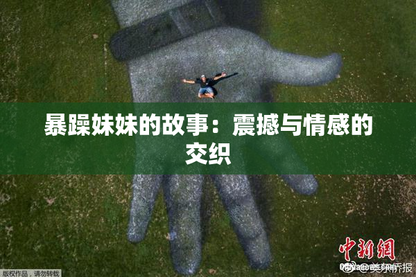 暴躁妹妹的故事：震撼与情感的交织