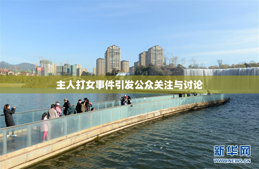 主人打女事件引发公众关注与讨论