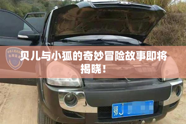 贝儿与小狐的奇妙冒险故事即将揭晓！