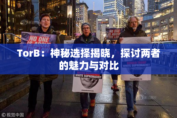 TorB：神秘选择揭晓，探讨两者的魅力与对比