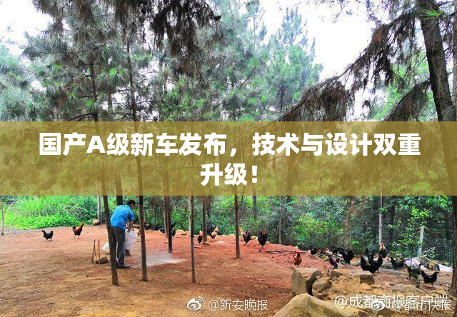国产A级新车发布，技术与设计双重升级！