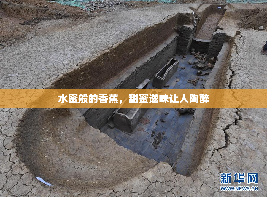 水蜜般的香蕉，甜蜜滋味让人陶醉