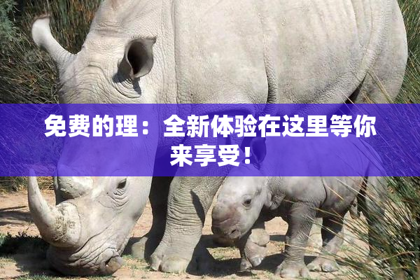 免费的理：全新体验在这里等你来享受！
