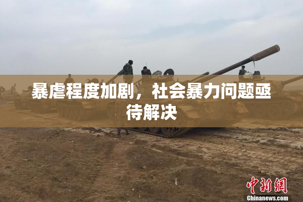 暴虐程度加剧，社会暴力问题亟待解决