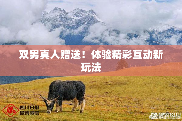 双男真人赠送！体验精彩互动新玩法