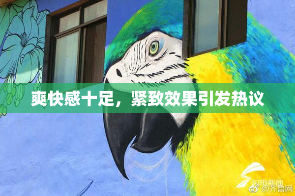 爽快感十足，紧致效果引发热议