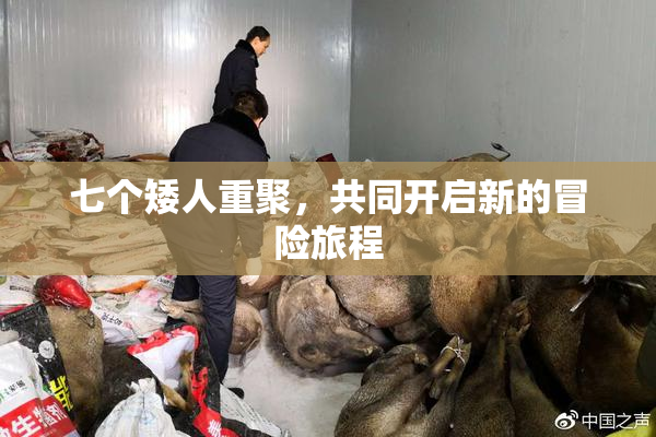 七个矮人重聚，共同开启新的冒险旅程
