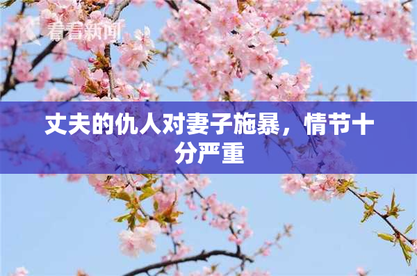 丈夫的仇人对妻子施暴，情节十分严重