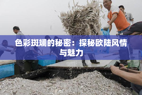色彩斑斓的秘密：探秘欧陆风情与魅力