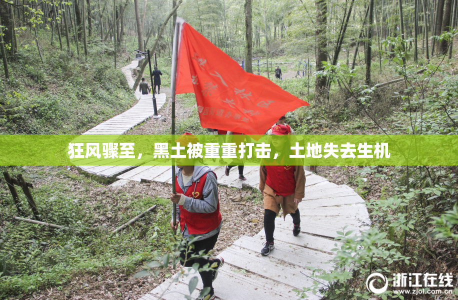 狂风骤至，黑土被重重打击，土地失去生机