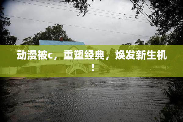 动漫被c，重塑经典，焕发新生机！