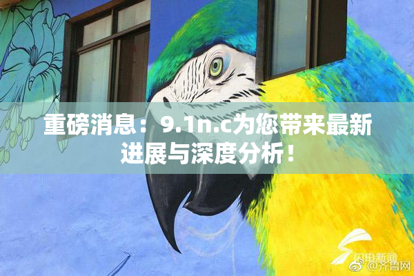 重磅消息：9.1n.c为您带来最新进展与深度分析！