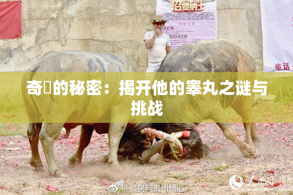 奇犽的秘密：揭开他的睾丸之谜与挑战