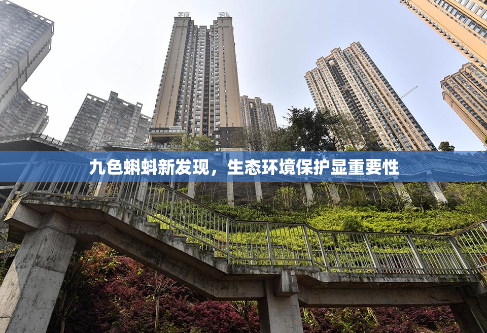 九色蝌蚪新发现，生态环境保护显重要性