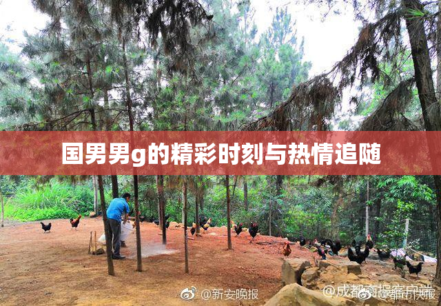 国男男g的精彩时刻与热情追随