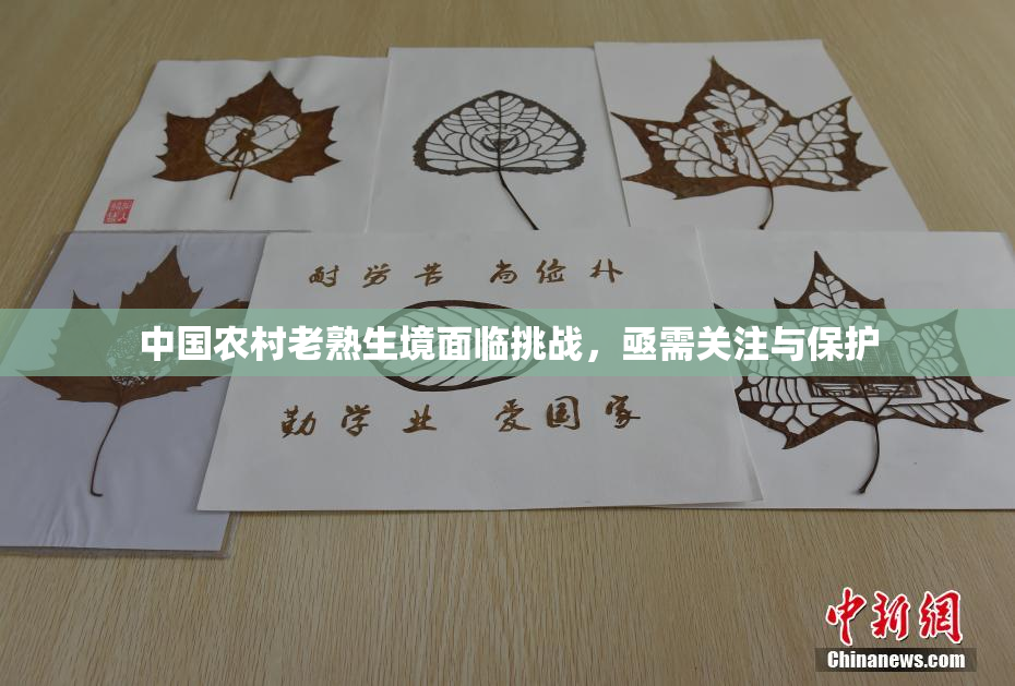 中国农村老熟生境面临挑战，亟需关注与保护