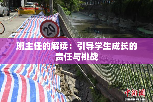 班主任的解读：引导学生成长的责任与挑战
