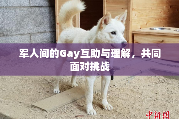 军人间的Gay互助与理解，共同面对挑战
