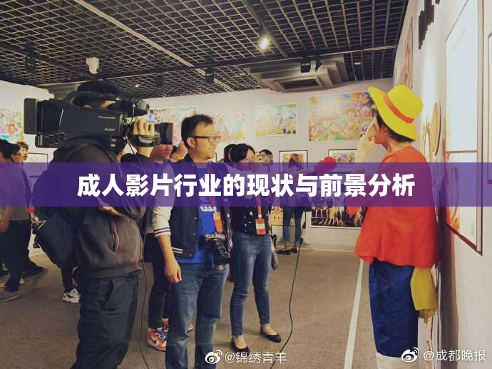 成人影片行业的现状与前景分析