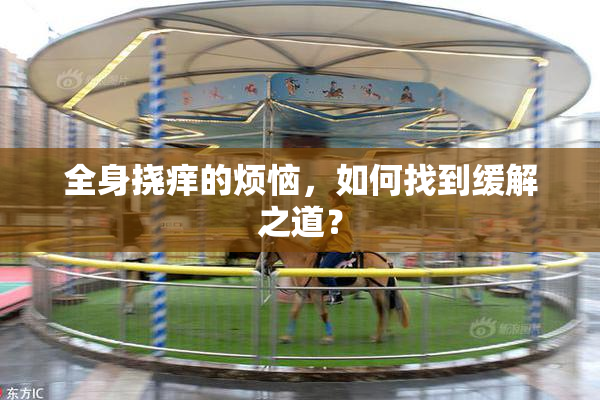 全身挠痒的烦恼，如何找到缓解之道？