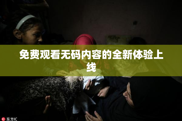 免费观看无码内容的全新体验上线