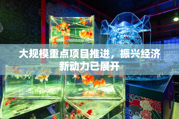 大规模重点项目推进，振兴经济新动力已展开