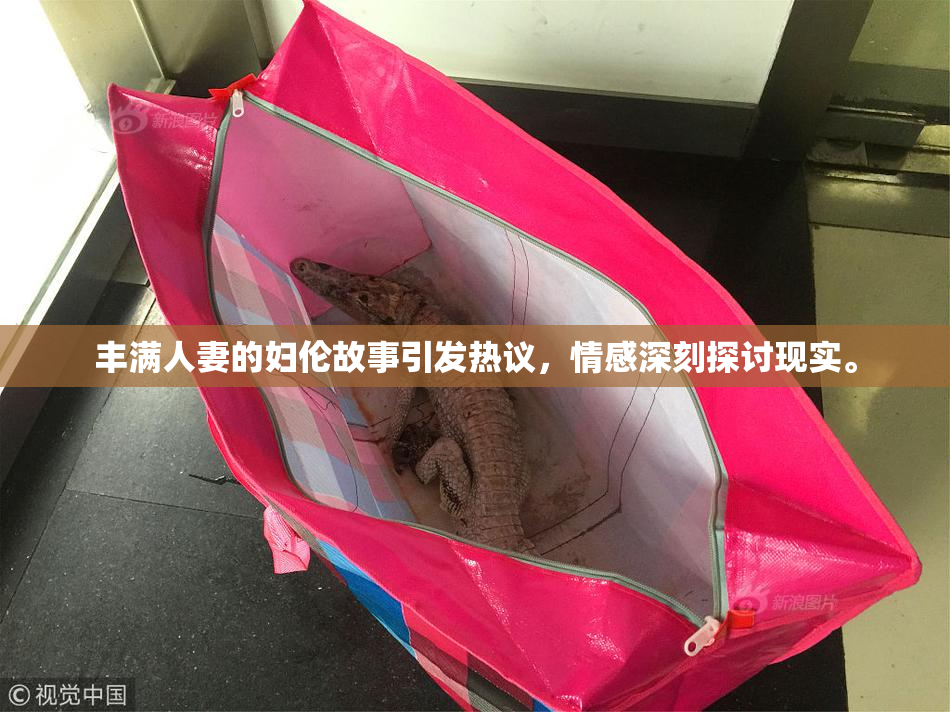 丰满人妻的妇伦故事引发热议，情感深刻探讨现实。