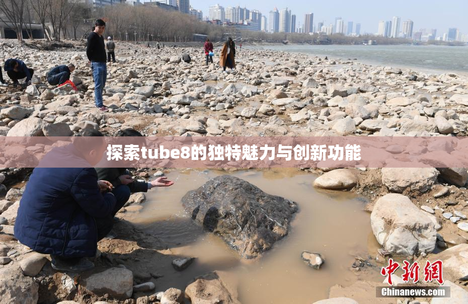 探索tube8的独特魅力与创新功能