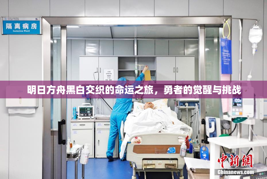 明日方舟黑白交织的命运之旅，勇者的觉醒与挑战