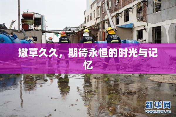 嫩草久久，期待永恒的时光与记忆