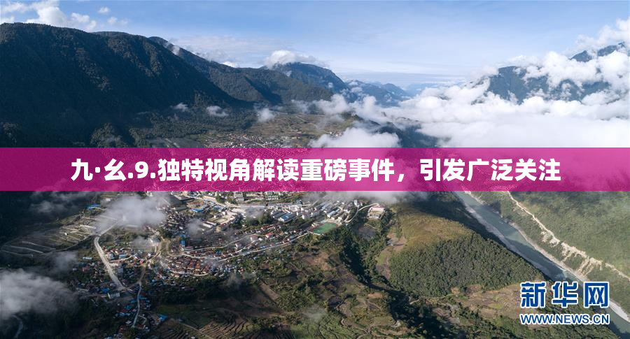 九·幺.9.独特视角解读重磅事件，引发广泛关注