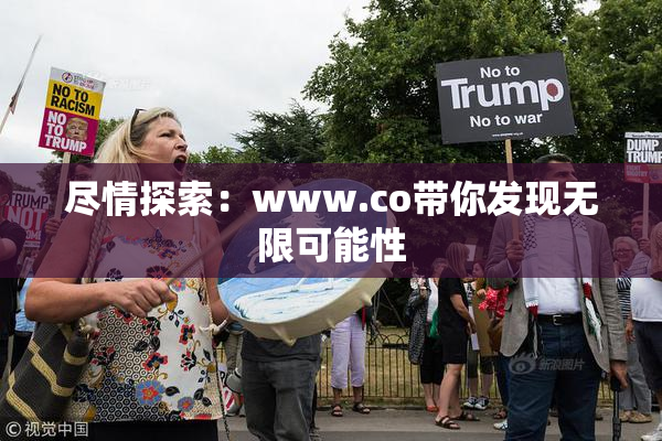 尽情探索：www.co带你发现无限可能性