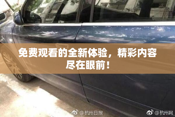 免费观看的全新体验，精彩内容尽在眼前！