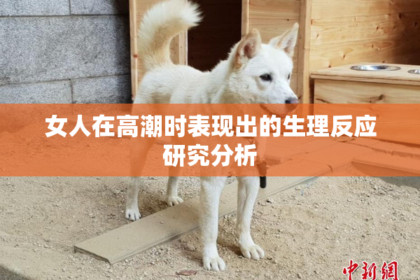 女人在高潮时表现出的生理反应研究分析