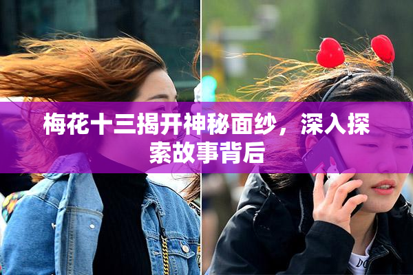 梅花十三揭开神秘面纱，深入探索故事背后