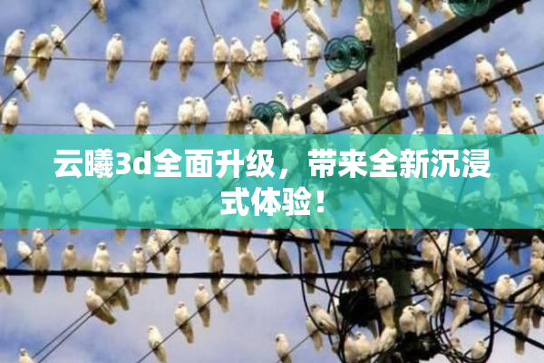 云曦3d全面升级，带来全新沉浸式体验！