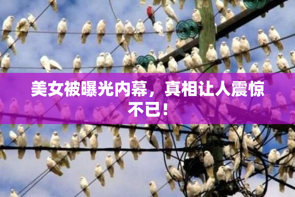 美女被曝光内幕，真相让人震惊不已！